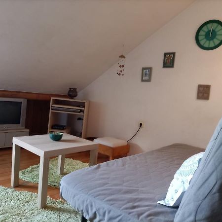 Apartman Lara 贝尔格莱德 外观 照片