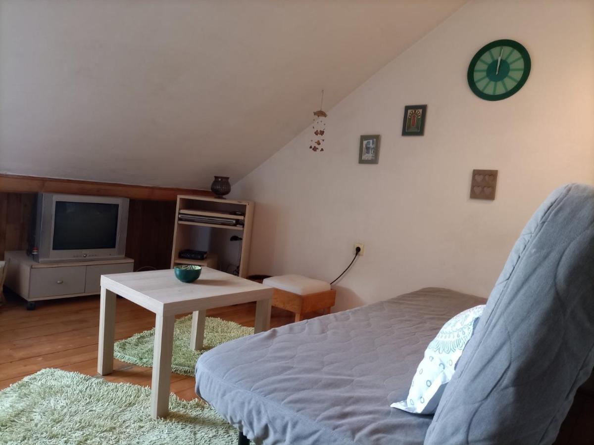 Apartman Lara 贝尔格莱德 外观 照片
